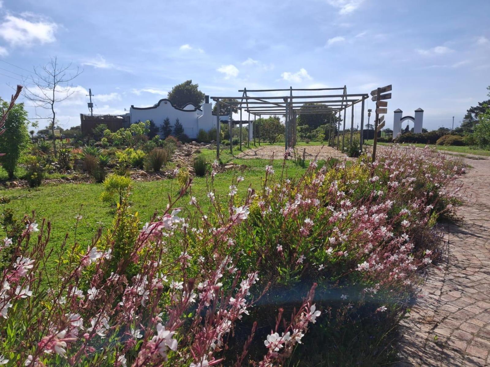 Dunkes Organic Equestrian Estate Διαμέρισμα George Εξωτερικό φωτογραφία