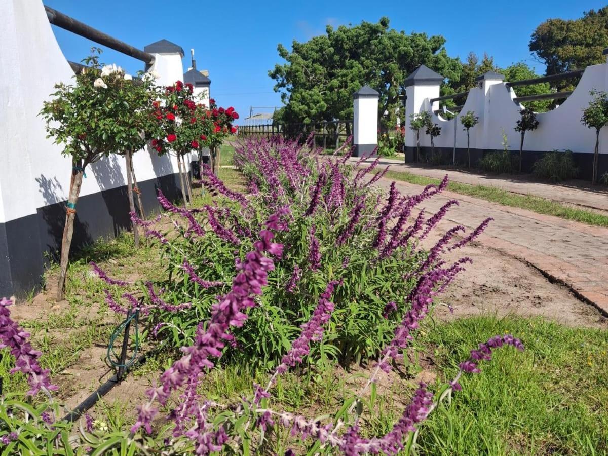 Dunkes Organic Equestrian Estate Διαμέρισμα George Εξωτερικό φωτογραφία